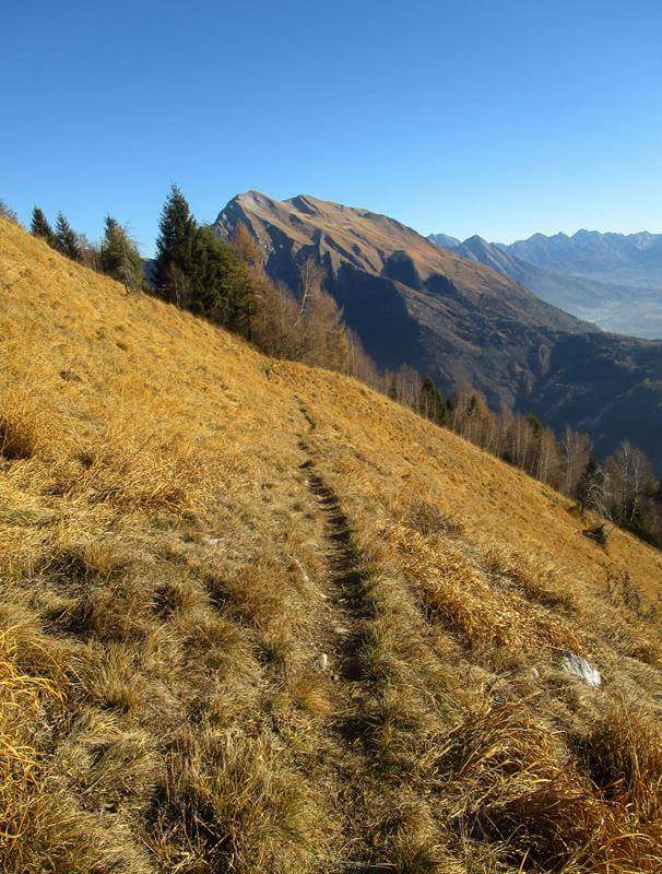 veduta Talvena est